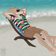 Beach shark